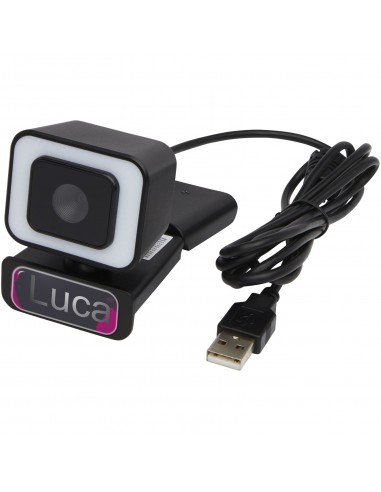 Hybrid webcam