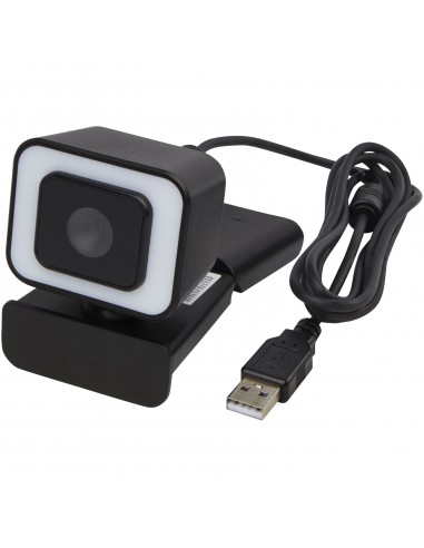 Hybrid webcam