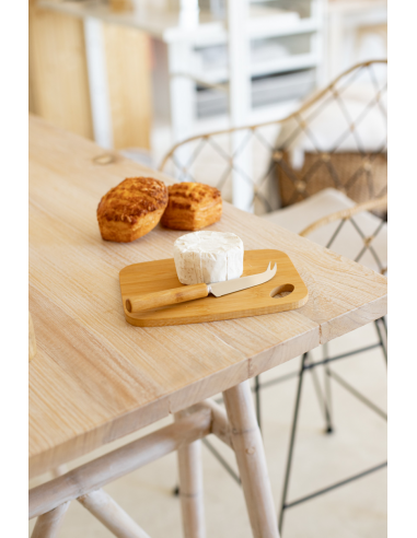 Taleggio