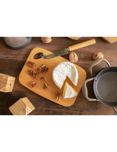 Taleggio