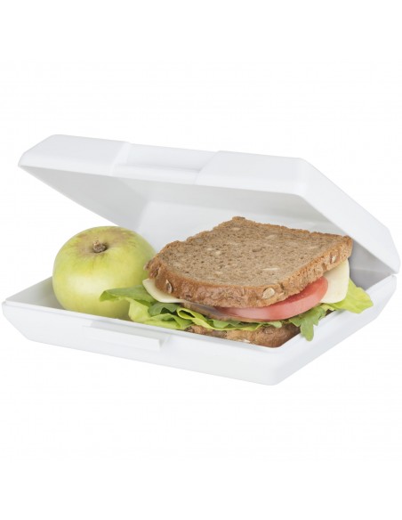 Oblong lunch box
