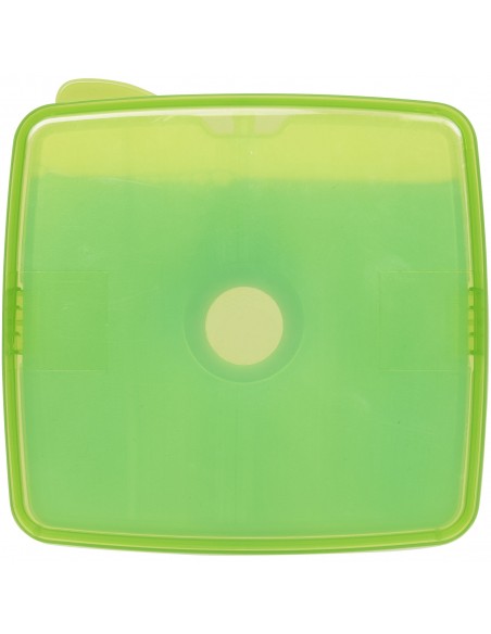Glace lunch box with ice pad