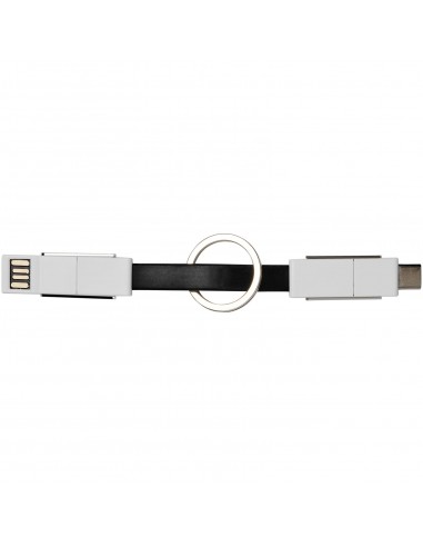 One 4-in-1 cable