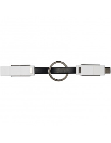 One 4-in-1 cable