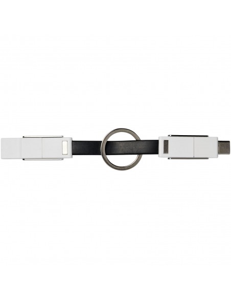 One 4-in-1 cable