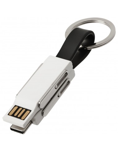 One 4-in-1 cable