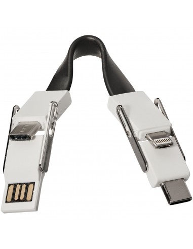 One 4-in-1 cable