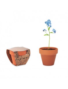 FORGET ME NOT