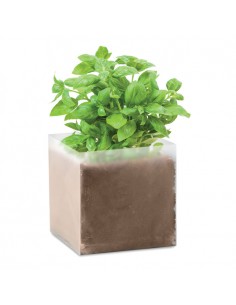 BASIL