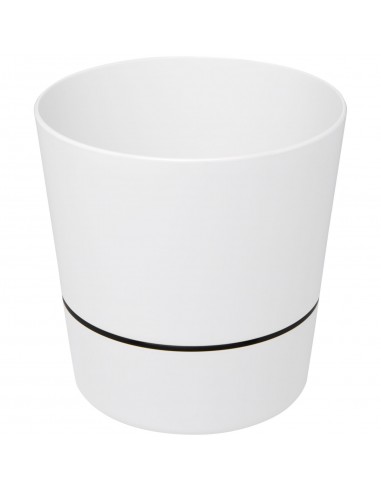 Herbs single kitchen pot