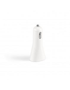 PAULING. Car charger